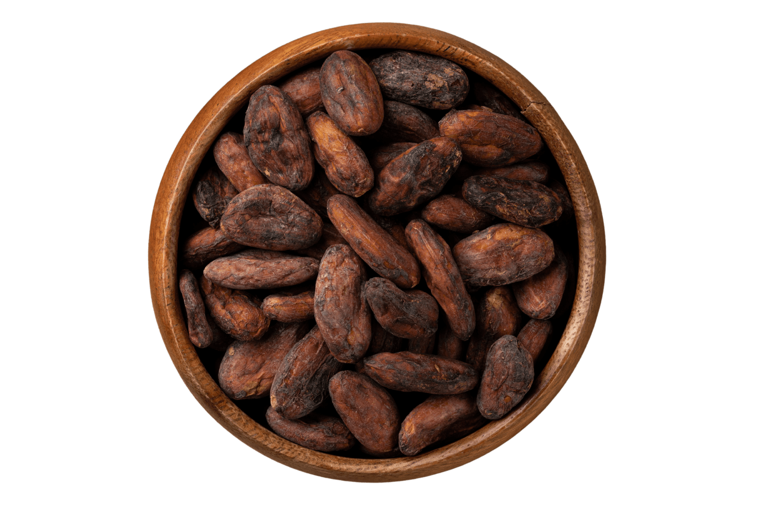 cocoa beans gambar